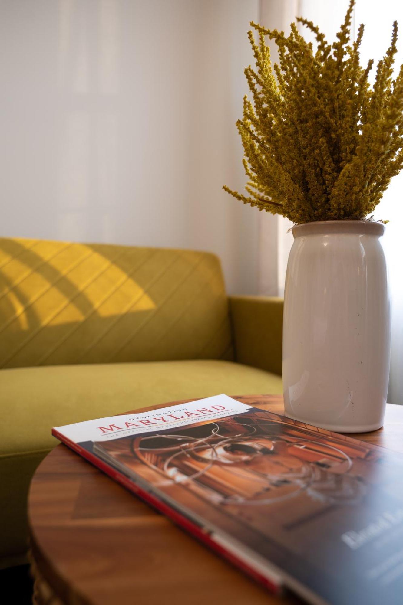 Luxury Federal Hill With Rooftop & 4 Parking Spots * Baltimore